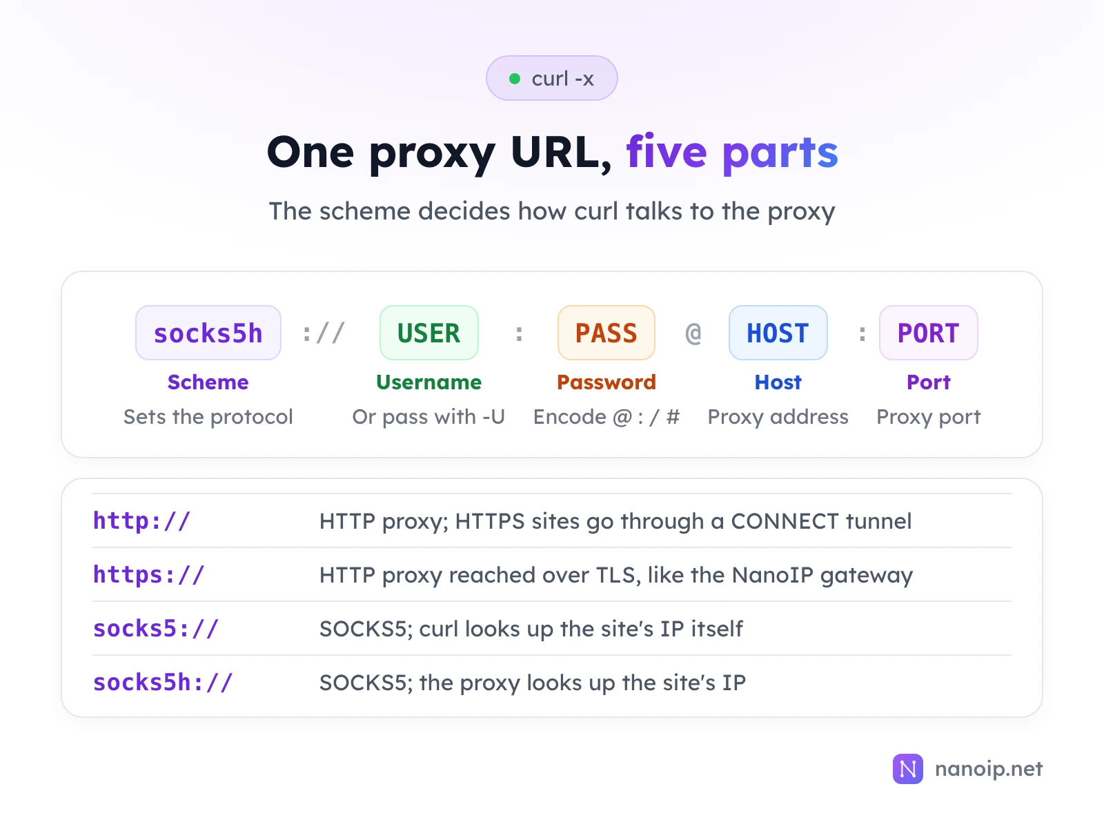 A proxy URL split into five parts: scheme socks5h, username, password, host and port, separated by ://, colon, @ and colon. The scheme sets the protocol: http:// for an HTTP proxy with CONNECT tunnels, https:// for an HTTP proxy reached over TLS like the NanoIP gateway, socks5:// where curl looks up the site's IP itself, and socks5h:// where the proxy looks it up
