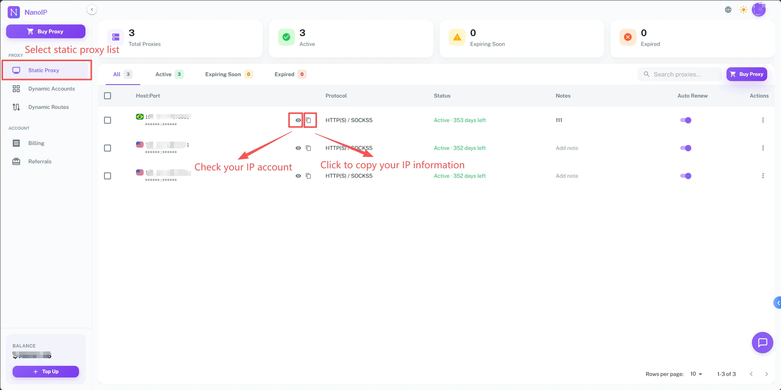 NanoIP proxy details copy action